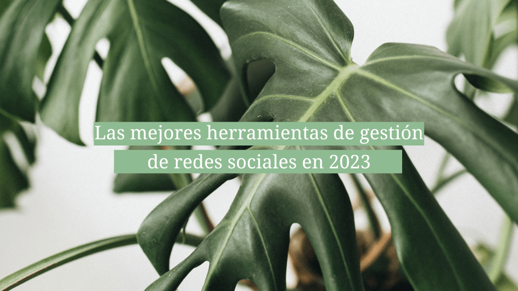 Herramientas de gestión de redes sociales